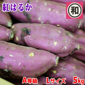 yz 錧Yi}j܂@g͂邩@A@LTCY@5kg (12`13{O)  