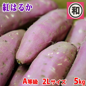 yz 錧Yi}j܂@g͂邩@A@2LTCY@5kg (8`9{O)  