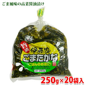 【送料無料】 伊藤食品　伊藤家のごま高菜 （ごまたかな） 250g×20袋 （箱） 業務用 セット