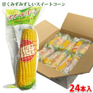 丸成商事　スイートコーン　真空パック （中国産・軸付） 24本入り （箱） とうもろこし 送料無料