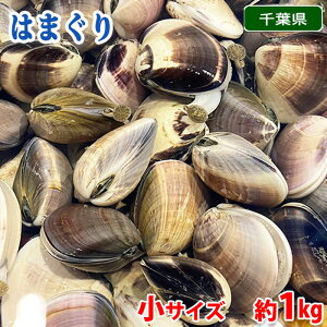 tY ij ͂܂@TCY i120`30gOj 1kg