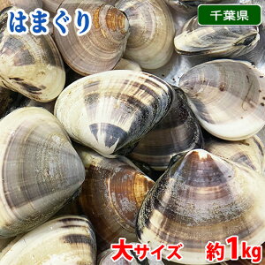 tY ij ͂܂@TCY i1100`140gOj 1kg