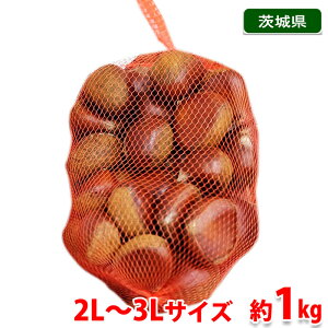 錧Y@I ij 2L`3LTCY@1kg lbg Y I