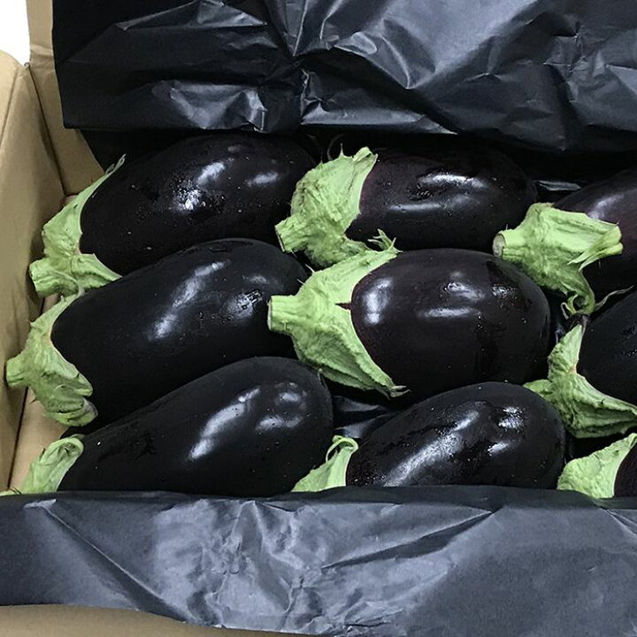 楽天市場】高知県産 米なす(べいなす) Mサイズ 2.5kg(9玉入) : 生鮮食品直送便 楽天市場】高知県産 米なす(べいなす) Mサイズ 2.5kg(9玉入) : 生鮮食品直送便