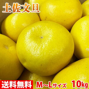 �y���������z ���m���Y�@�y�����U�@�G�i�@M�`L�T�C�Y�@10kg �i���j ���Y ���k �݂���