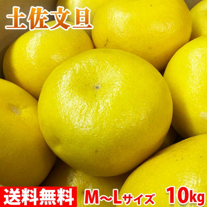 楽天市場】【送料無料】 高知県産 土佐文旦 秀品 M〜Lサイズ 10kg （箱 