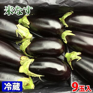 ���m���Y�@�ĂȂ��i�ׂ��Ȃ��j�@M�T�C�Y�@2.5kg�i9�ʓ��j