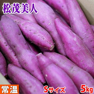 yz YiJAÏ΁j܂@ȂƋ@uΔlv@Gi@STCY@5kgi40`42{Oj