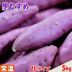 yzYiJAYj܂@ȂƋ@uނ߁v@Gi@2LTCY@5kgi12`13{Oj