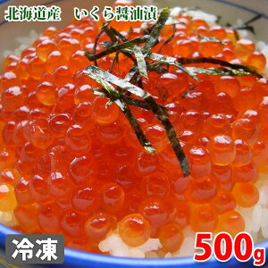 北海道産 いくら醤油漬 500g(化粧箱)