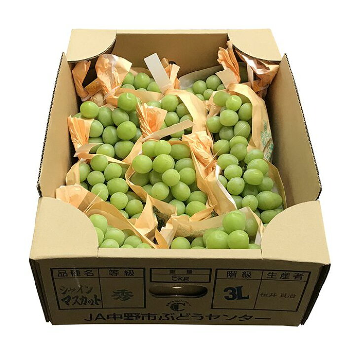 楽天市場】【送料無料】 長野県産 シャインマスカット 秀品 5kg 9〜11 
