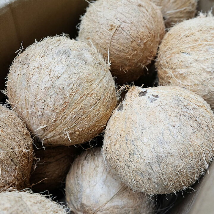 楽天市場】【送料無料】ベトナム産 ココナッツ「GENUINE COCONUT」 20玉入 約20kg : 生鮮食品直送便