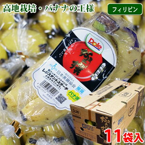 yz Dole tBsY oii ɐ inChj 11ܓ@7kg ij m͔|