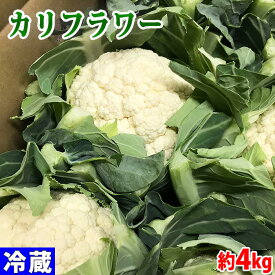 徳島県産　カリフラワー　秀品　Lサイズ　約4kg　8株入り（箱）