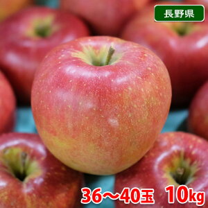 【送料無料】 長野県産 シナノスイート 秀品 36〜40玉入り 10kg(箱)