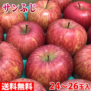 yzXY@Tӂ񂲁@Gi@24`26ʓ@10kg