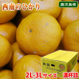 �y���������z ���������Y�@����̂Ђ���@�G�i�@2L�`3L�T�C�Y�@���t�l �i���j ���Y �݂��� ���k