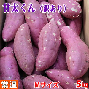 yz󂠂Eƒp@啪YiJAj܂@g͂邩@Ñ@B@MTCY@5kg (24`27{O)  