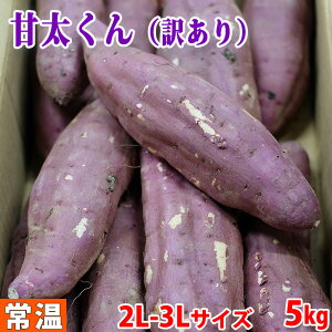 yz󂠂Eƒp@啪YiJAj܂@g͂邩@Ñ@B@2L`3LTCY@5kg (12`14{O)  