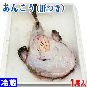 {錧Y@񂱂 îj 1 i1.7`2kgO / 1.2`1.5kgOj Y  