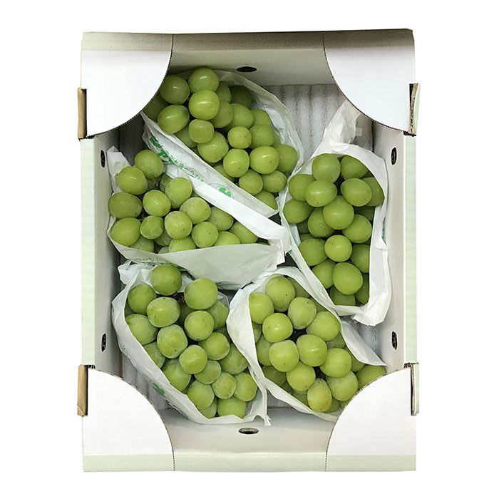 山梨県産　シャインマスカット　秀品　5房入り　3kg（箱） | 生鮮食品直送便