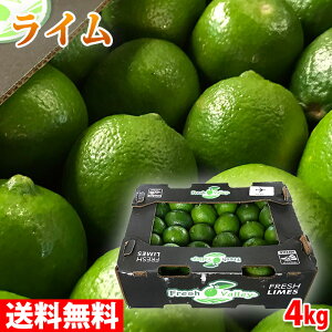 【送料無料】 メキシコ産 ライム LIMON PERSA(リモン・ペルサ) 4kg (約40〜44玉入り)