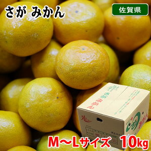 yz ꌧY@݂@JA@Gi@M`LTCY@10kg ij Y t[c