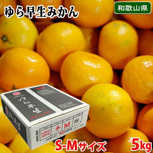 yz a̎RY@Lc݂@瑁@Gi@S`MTCY@5kg ij AQ݂