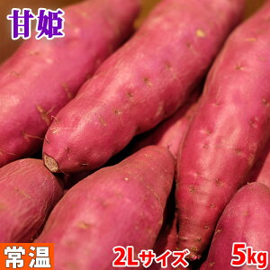 yz YiJAsEj܂@ȂƋ@uÕPv@Gi@2LTCY@5kgi12`13{Oj