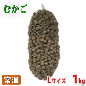 �y���������z �X���Y�@�ނ����@A�����@L�T�C�Y�@��1kg �i�l�b�g����j