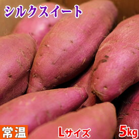 【送料無料】千葉県産（JAかとり）さつまいも　シルクスイート　秀品　Lサイズ　約4.5～5kg（13本前後入）箱入り