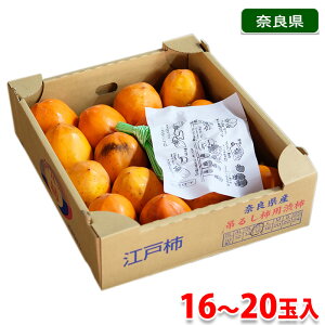 yz ޗǌY@]ˊ` i邵`j M`2LTCY@16`20ʓ ij Y a`