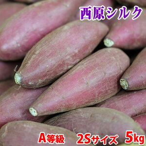 yzF{YiJAhj܂@VNXC[g@A@2STCY@5kgi70{Oj