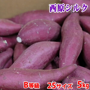 【送料無料】 訳あり・ご家庭用 熊本県産(JA阿蘇西原)さつまいも シルクスイート B等級 2Sサイズ 約5kg(70本前後入)箱入り