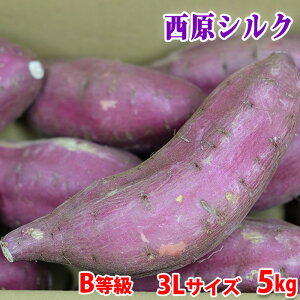 【送料無料】 訳あり・ご家庭用 熊本県産(JA阿蘇西原)さつまいも シルクスイート B等級 3Lサイズ 約5kg(8〜10本入)箱入り