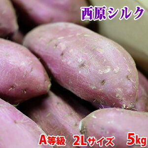 yzF{YiJAhj܂@VNXC[g@A@2LTCY@5kgi13{Oj