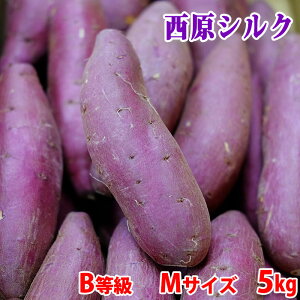 【送料無料】訳あり・ご家庭用 熊本県産(JA阿蘇西原)さつまいも シルクスイート B等級 Mサイズ  約5kg(26〜28本前後入)箱入り