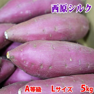 yzF{YiJAhj܂@VNXC[g@A@LTCY@5kgi15`24{Oj