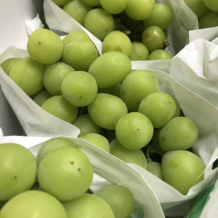 楽天市場】【送料無料】山梨県産 シャインマスカット 秀品 5kg 9～11房 