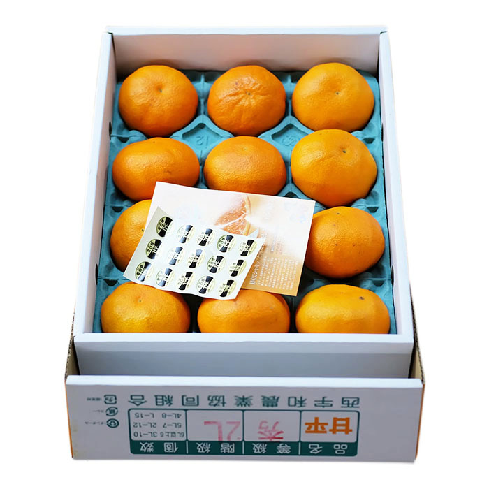 【送料無料】愛媛県産　甘平（かんぺい）秀品　L～2Lサイズ（12～15玉）約3kg（化粧箱） | 生鮮食品直送便