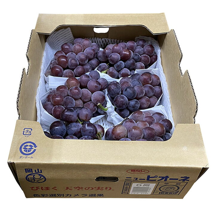 楽天市場】【送料無料】 岡山県産 ニューピオーネ 5kg 秀品 （6房～9房 