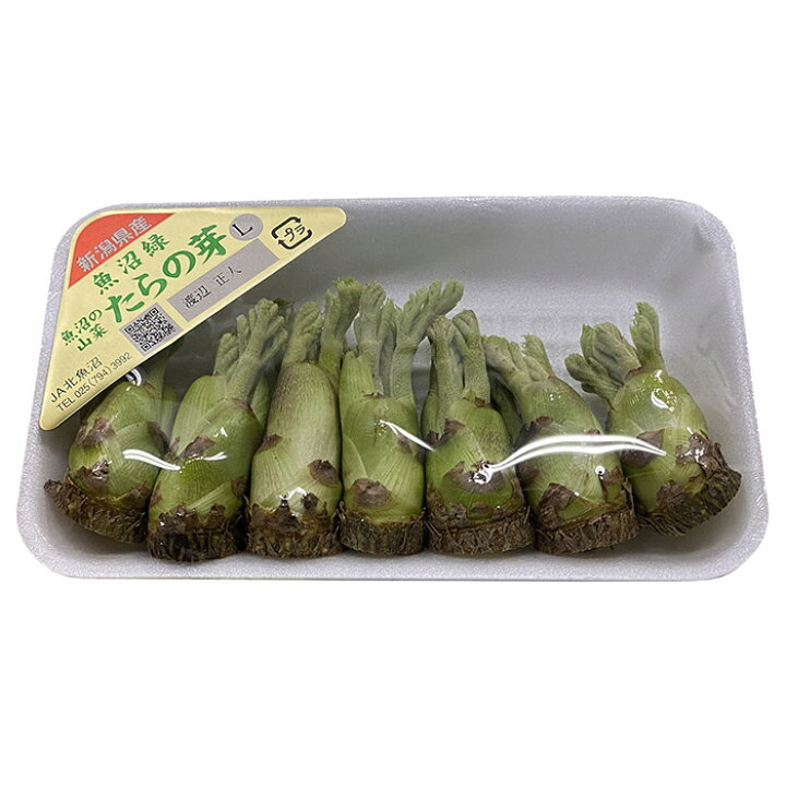 楽天市場】新潟県産 タラの芽 L〜2Lサイズ 50g（約5本〜8本） : 生鮮 