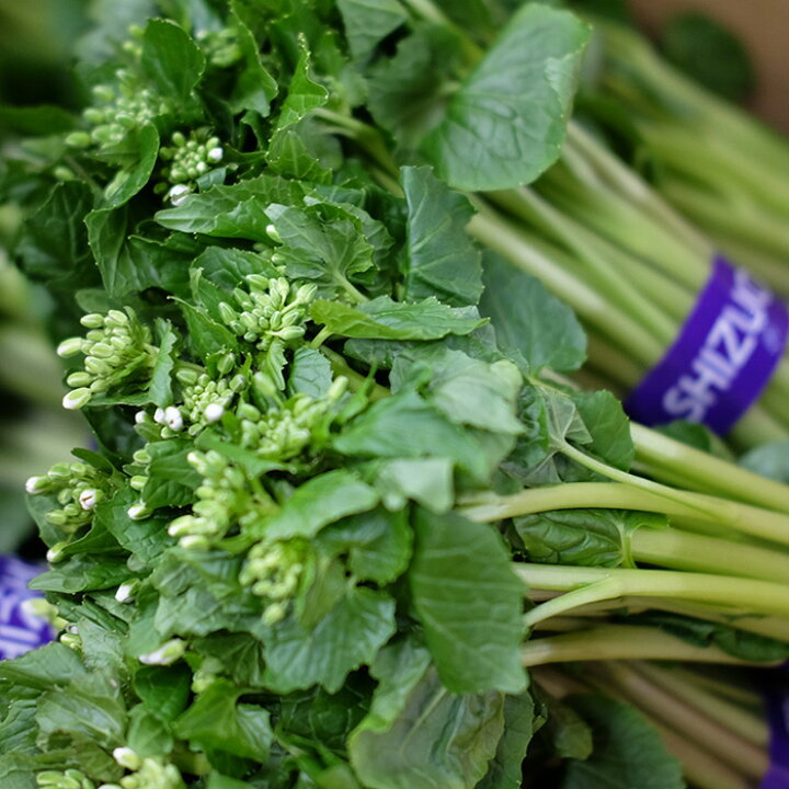 楽天市場 静岡県産 花わさび 1束 約100g 生鮮食品直送便