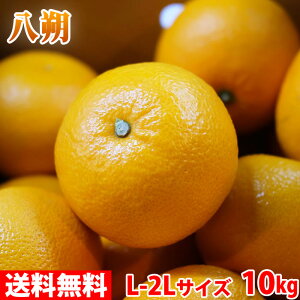 �y���������z�@�a�̎R���Y�@���� �i�͂������j �G�i�@ L�`2L�T�C�Y�@10kg �i���j ���Y �݂��� ���k