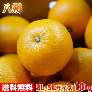 �y���������z �a�̎R���Y�@���� �i�͂������j �G�i�@3L�`5L�T�C�Y�@��9�`10kg �i���j ���Y �݂��� ���k