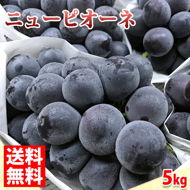 楽天市場】【送料無料】 岡山県産 ニューピオーネ 5kg 秀品 （6房～9房 