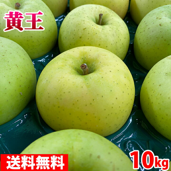 楽天市場 送料無料 青森県産 りんご きおう 黄王 秀品 24 26玉 10kg 生鮮食品直送便 楽天市場 送料無料 青森県産 りんご きおう 黄王 秀品 24 26玉 10kg 生鮮食品直送便