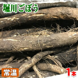 楽天市場 堀川牛蒡の通販