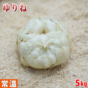 yz kCY@Si荪jM`LTCY@5kgi45`62j