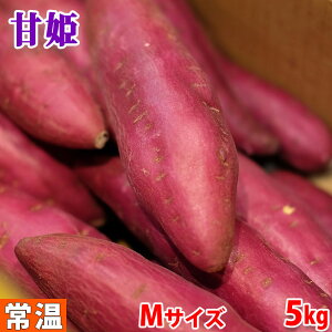 yz YiJAsEj܂@ȂƋ@uÕPv@Gi@MTCY@5kgi27`28{Oj